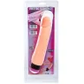 D-218756 BAILE VIBRATORS