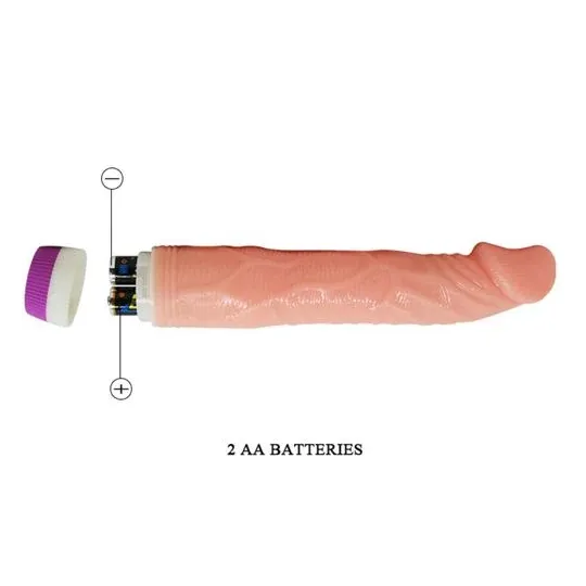 D-218753 BAILE VIBRATORS