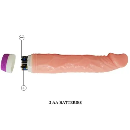 D-218753 BAILE VIBRATORS