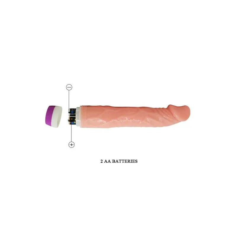 D-218753 BAILE VIBRATORS