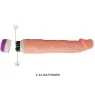 D-218753 BAILE VIBRATORS