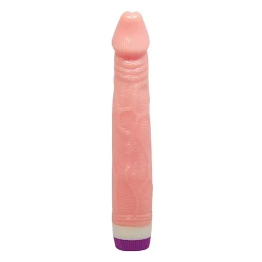 D-218753 BAILE VIBRATORS