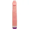 D-218753 BAILE VIBRATORS