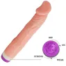 D-218753 BAILE VIBRATORS