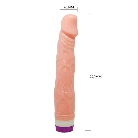 D-218753 BAILE VIBRATORS