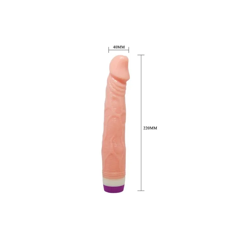 D-218753 BAILE VIBRATORS