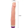 D-218753 BAILE VIBRATORS