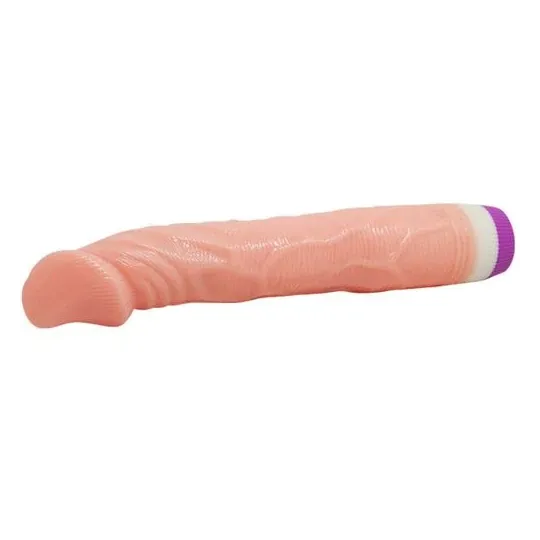 D-218753 BAILE VIBRATORS