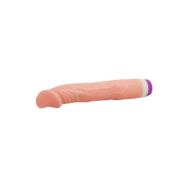 D-218753 BAILE VIBRATORS
