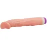 D-218753 BAILE VIBRATORS