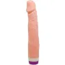 D-218753 BAILE VIBRATORS