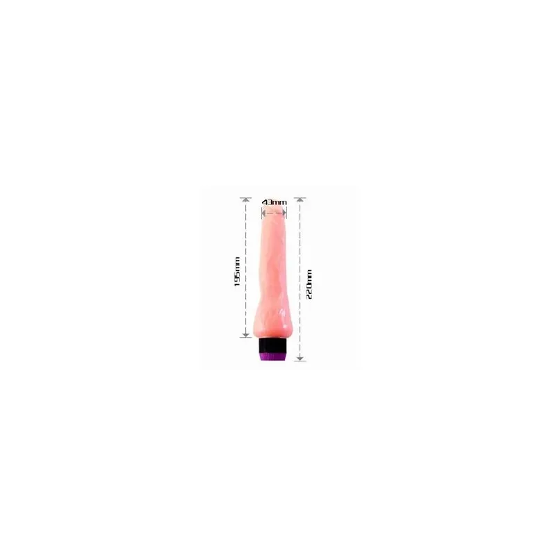 D46-149075 BAILE VIBRATORS