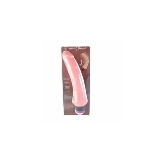 D46-149075 BAILE VIBRATORS