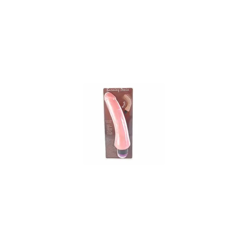 D46-149075 BAILE VIBRATORS