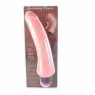 D46-149075 BAILE VIBRATORS