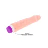 D47-149077 BAILE VIBRATORS