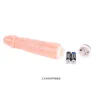 D47-149077 BAILE VIBRATORS