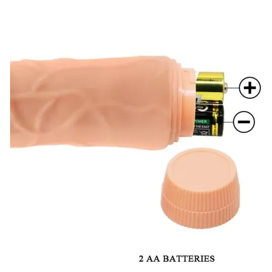 D-234981 BAILE VIBRATORS