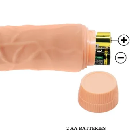 D-234981 BAILE VIBRATORS