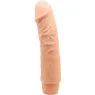 D-234981 BAILE VIBRATORS