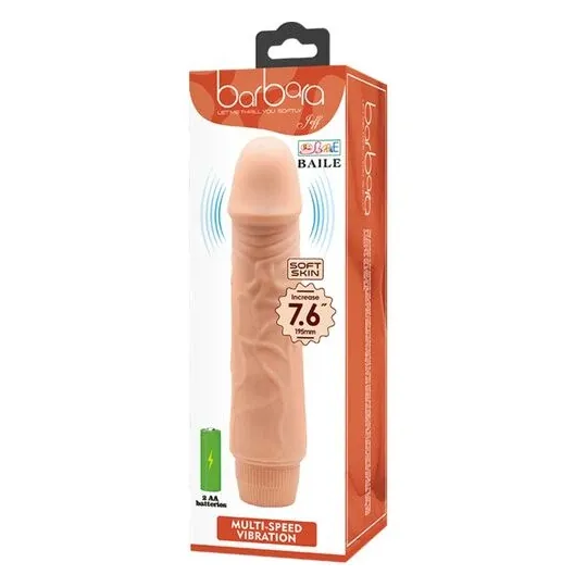 D-234981 BAILE VIBRATORS