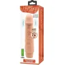 D-234981 BAILE VIBRATORS