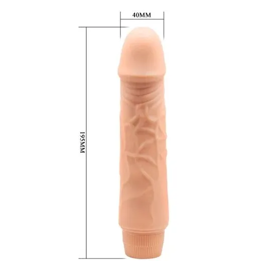 D-234981 BAILE VIBRATORS
