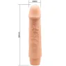 D-234981 BAILE VIBRATORS
