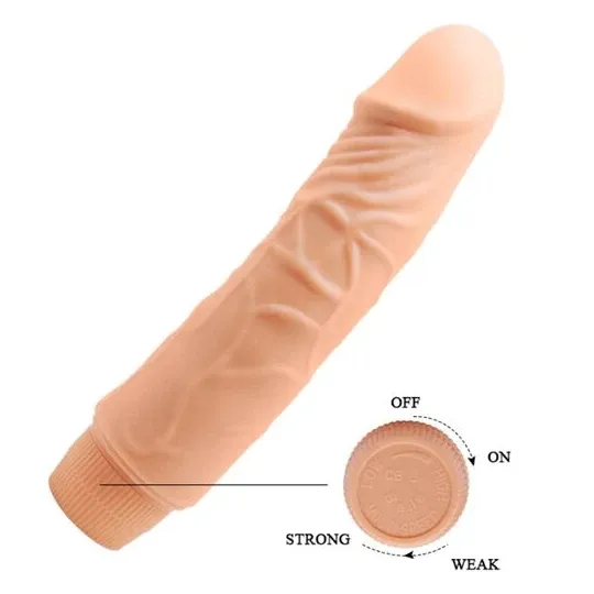 D-234981 BAILE VIBRATORS