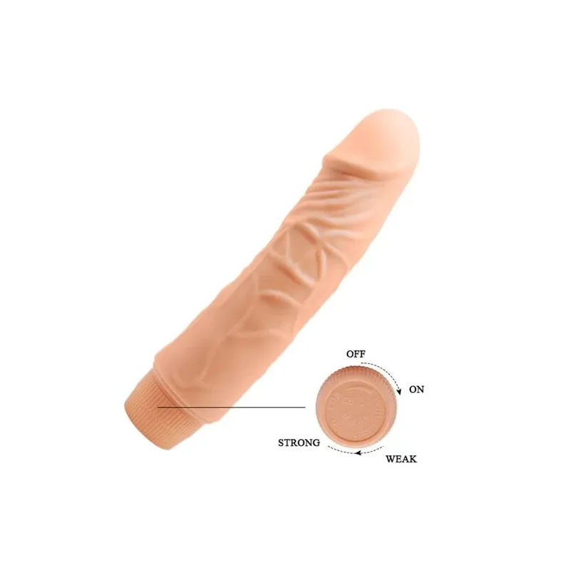 D-234981 BAILE VIBRATORS