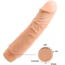 D-234981 BAILE VIBRATORS