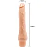 D-235802 BAILE VIBRATORS