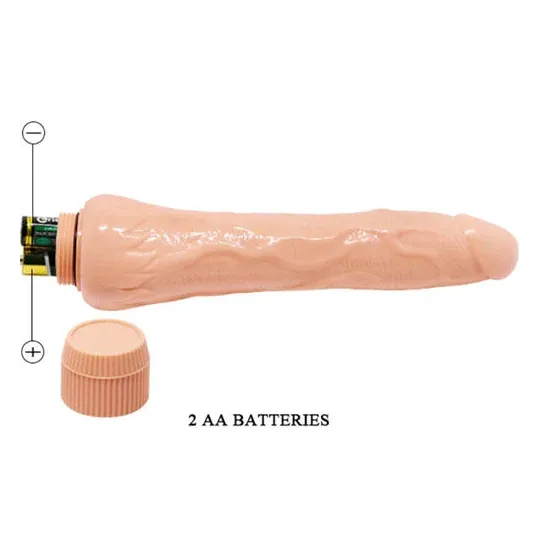 D-235802 BAILE VIBRATORS
