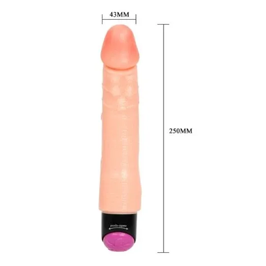 D-218765 BAILE VIBRATORS