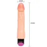 D-218765 BAILE VIBRATORS