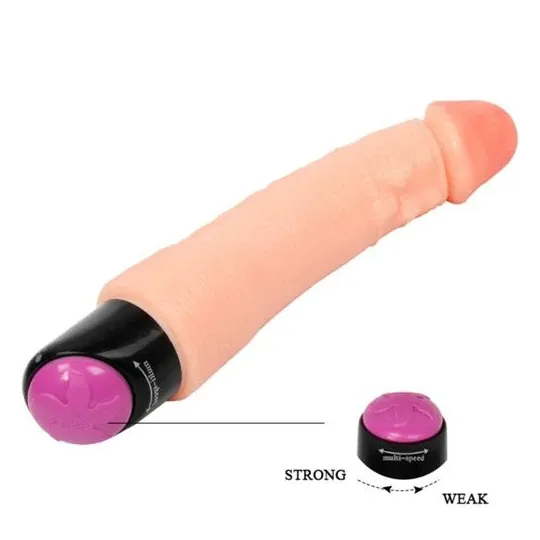 D-218765 BAILE VIBRATORS