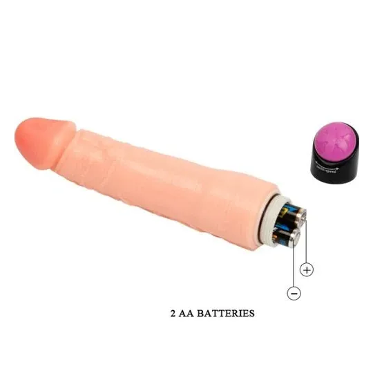 D-218765 BAILE VIBRATORS