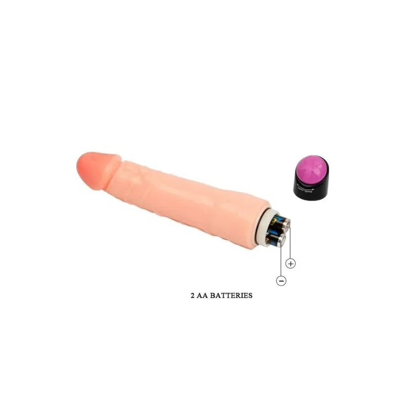 D-218765 BAILE VIBRATORS