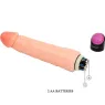 D-218765 BAILE VIBRATORS