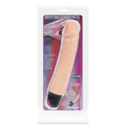 D-218765 BAILE VIBRATORS