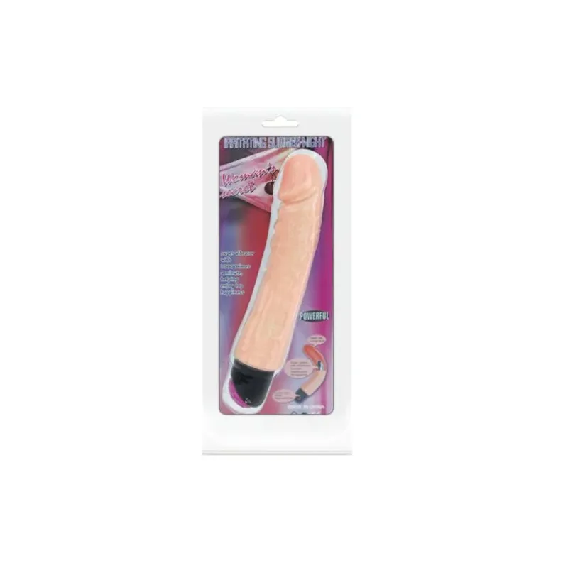 D-218765 BAILE VIBRATORS
