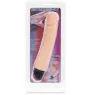 D-218765 BAILE VIBRATORS