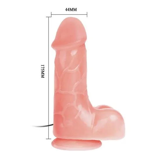 D-219380 BAILE VIBRATORS