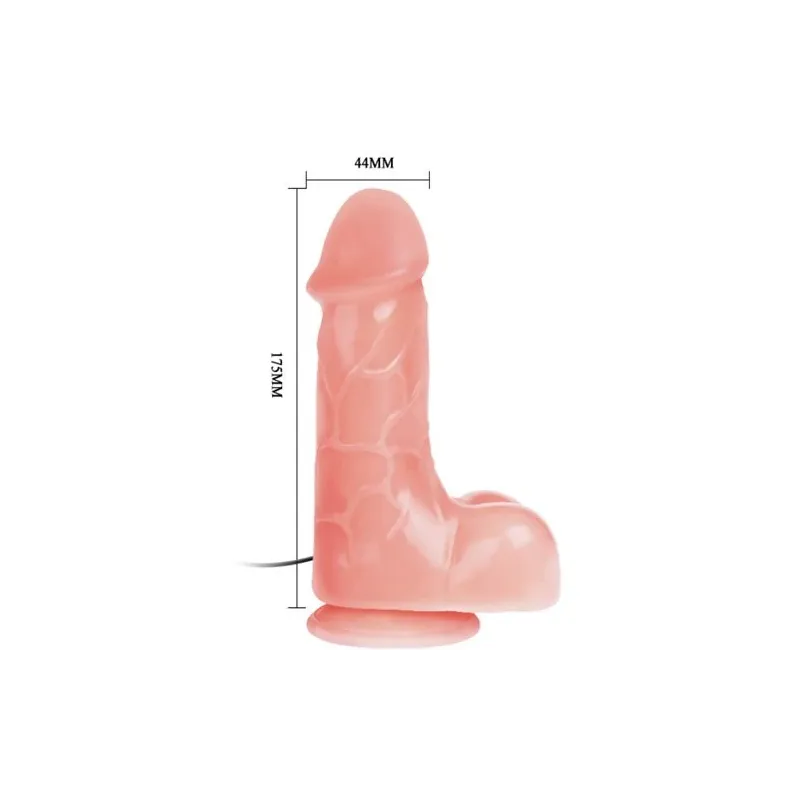 D-219380 BAILE VIBRATORS
