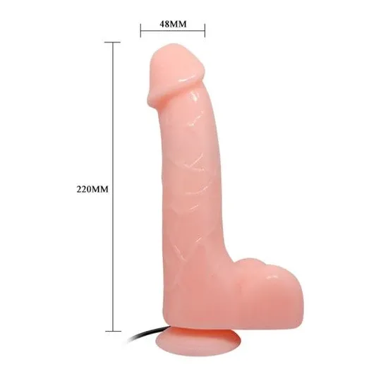 D-219380 BAILE VIBRATORS