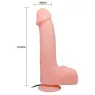 D-219380 BAILE VIBRATORS