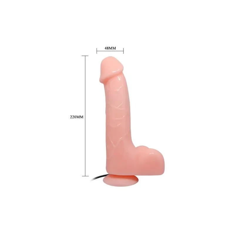 D-219380 BAILE VIBRATORS