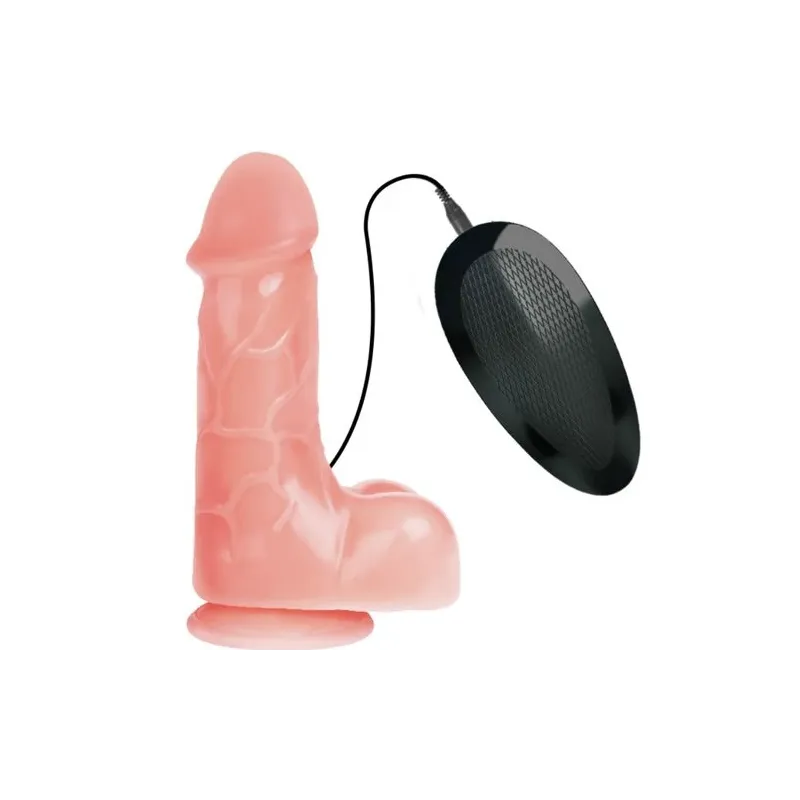 D-219380 BAILE VIBRATORS