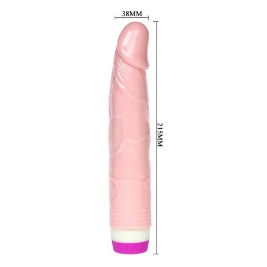 D-218752 BAILE VIBRATORS