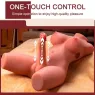 D-243010 XISE